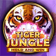 Bố cục bàn Roulette với các loại cược
